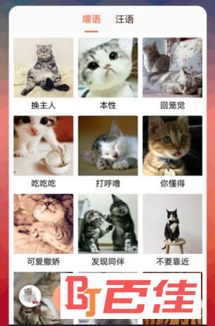 猫语翻译器免费下载中文版