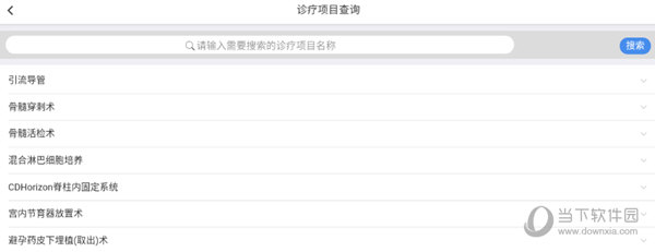 输入医疗项目进行查询