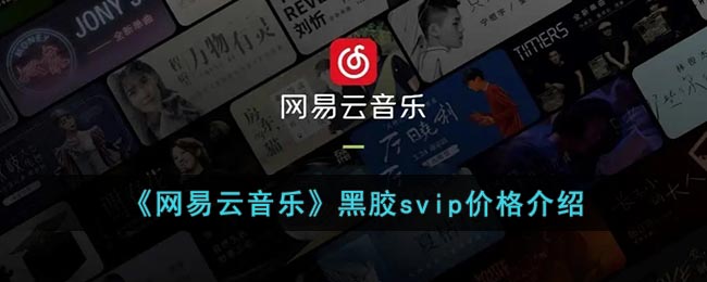 《网易云音乐》黑胶svip价格介绍