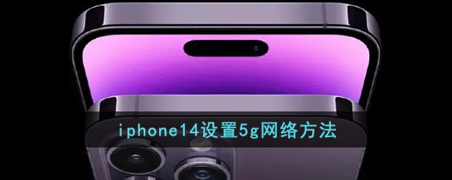 iphone14设置5g网络方法