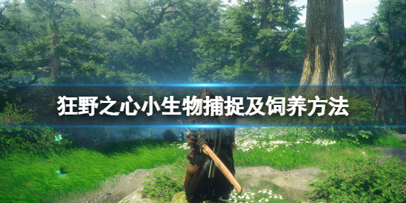 《狂野之心》小生物要怎么样抓捕 