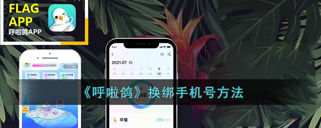 《呼啦鸽》换绑手机号方法